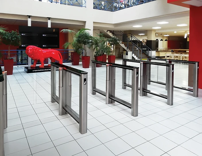 Бизнес-школа Emlyon, Франция